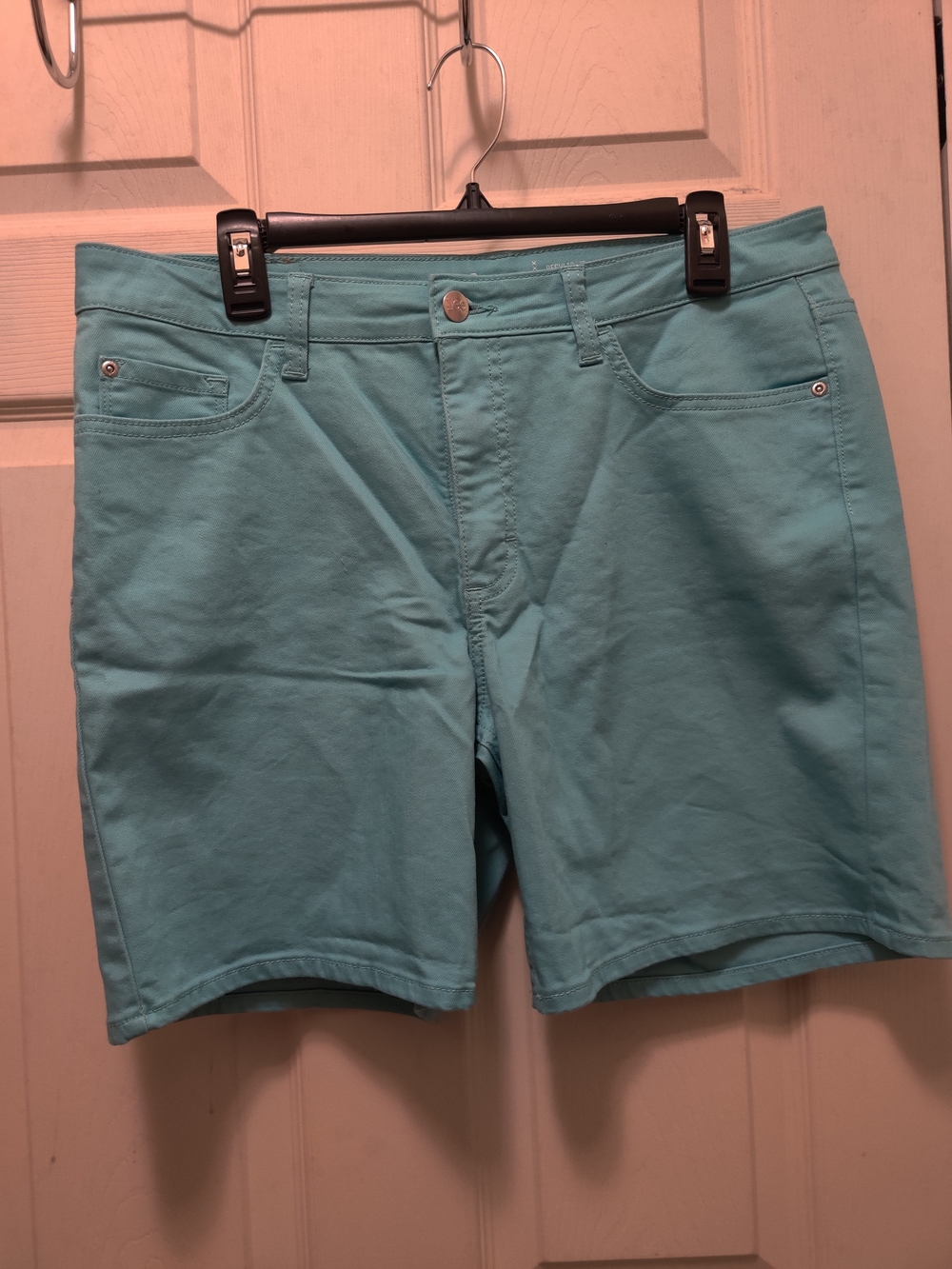 Flat Front Stretch Shorts in Aqua Blue